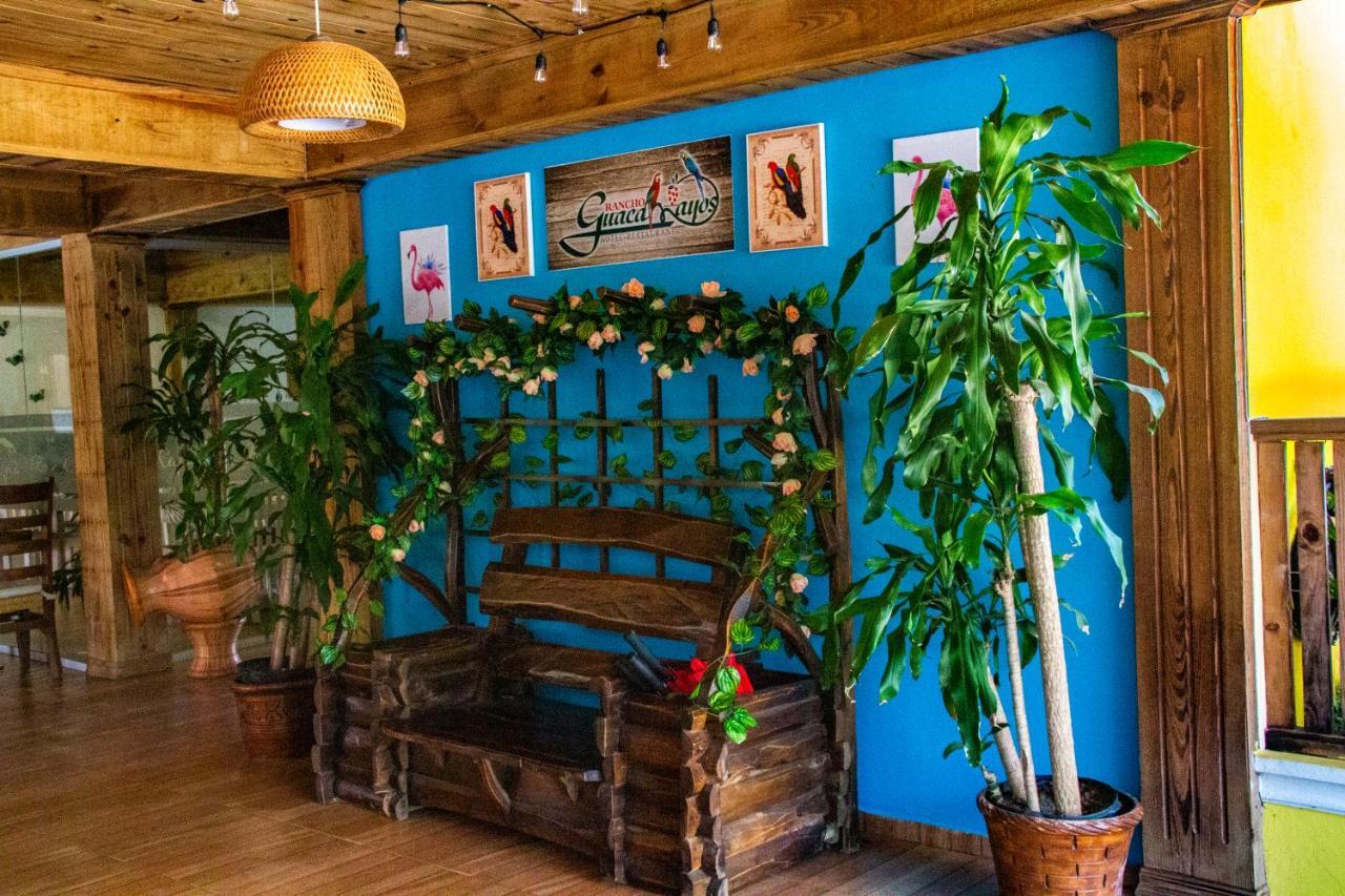 Bonao Deluxe Suites Guacamayos - Eco-Lodge & Swimming Pool المظهر الخارجي الصورة